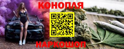 тгк Кингисепп