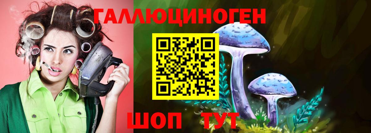 Чита  Галлюциногенные грибы Psilocybe  Галлюциногенные грибы Magic Shrooms  Вход с VPN 